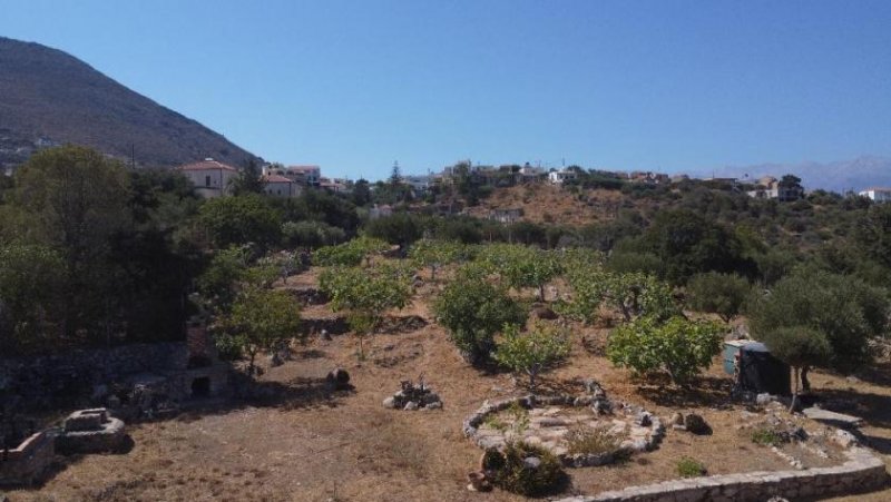 Kokkino Chorio Kreta, Kokkino Chorio: Ruhiges Landgrundstück mit Dorfnähe zu verkaufen Grundstück kaufen
